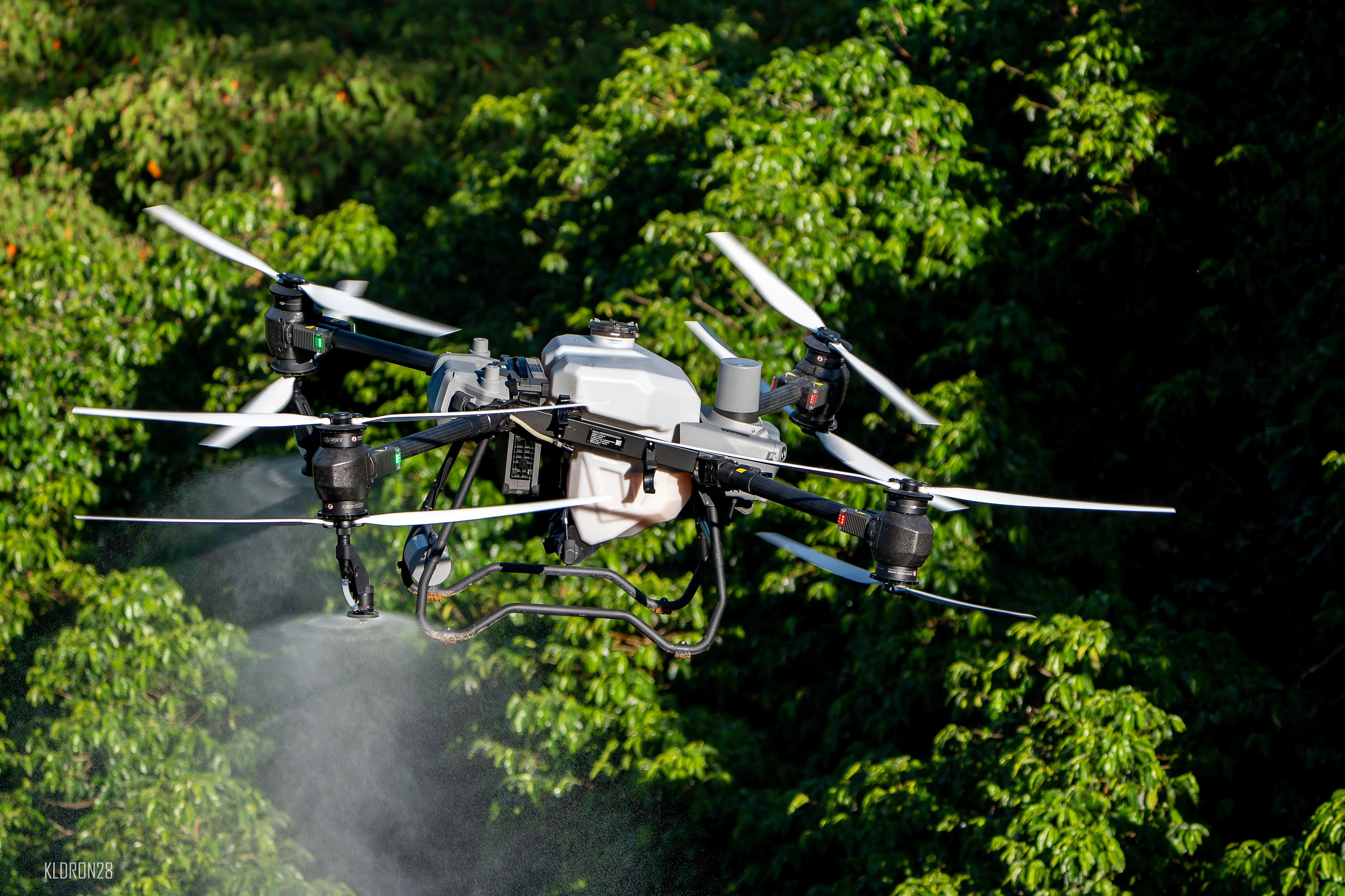 Dron en vuelo sobre cultivo